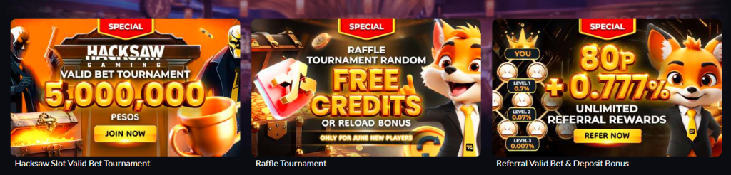 Promotion Terms & Conditions